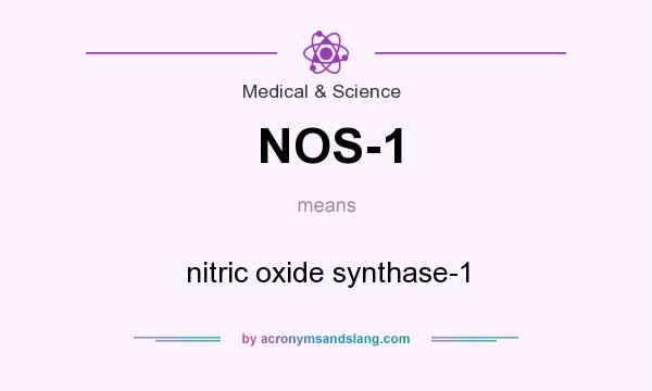 What does NOS-1 mean? It stands for nitric oxide synthase-1