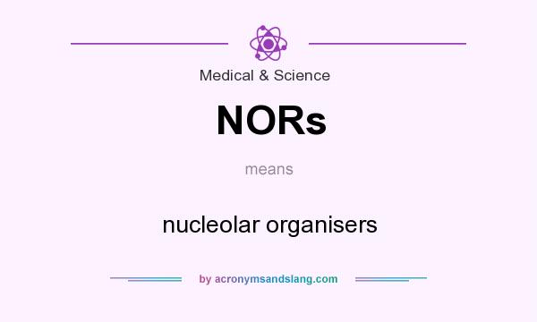 What does NORs mean? It stands for nucleolar organisers
