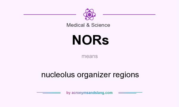 What does NORs mean? It stands for nucleolus organizer regions