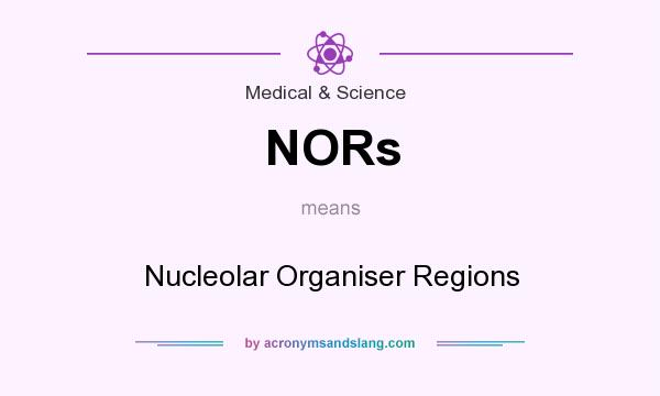 What does NORs mean? It stands for Nucleolar Organiser Regions