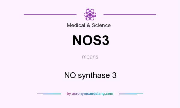 What does NOS3 mean? It stands for NO synthase 3