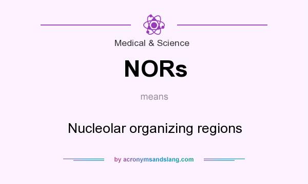 What does NORs mean? It stands for Nucleolar organizing regions