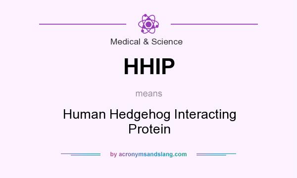 What does HHIP mean? It stands for Human Hedgehog Interacting Protein