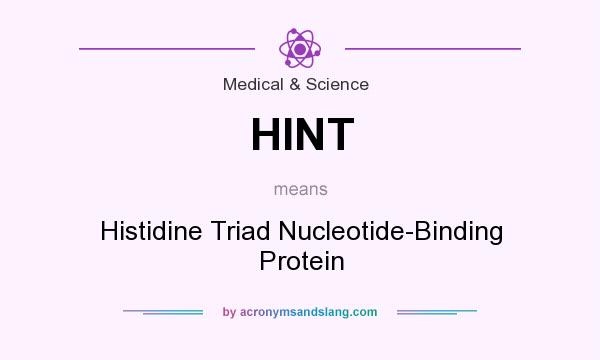 What does HINT mean? It stands for Histidine Triad Nucleotide-Binding Protein