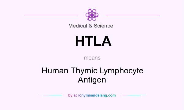 What does HTLA mean? It stands for Human Thymic Lymphocyte Antigen