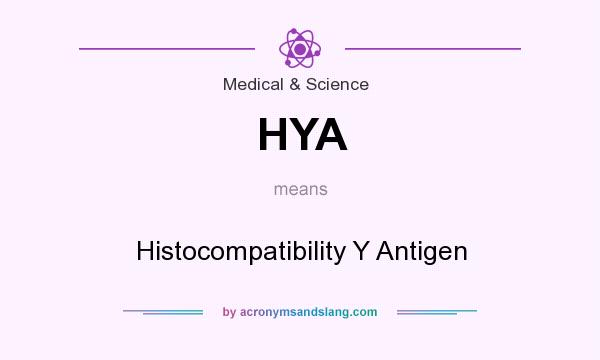 What does HYA mean? It stands for Histocompatibility Y Antigen