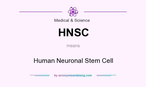 What does HNSC mean? It stands for Human Neuronal Stem Cell