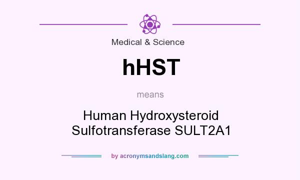 What does hHST mean? It stands for Human Hydroxysteroid Sulfotransferase SULT2A1
