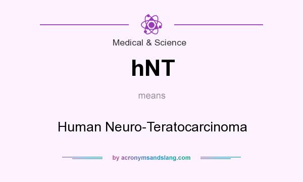 What does hNT mean? It stands for Human Neuro-Teratocarcinoma