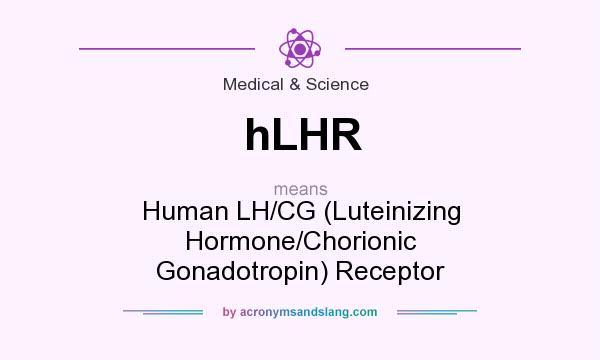 What does hLHR mean? It stands for Human LH/CG (Luteinizing Hormone/Chorionic Gonadotropin) Receptor