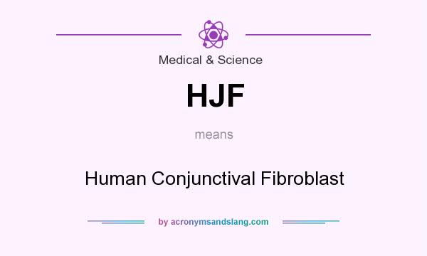 What does HJF mean? It stands for Human Conjunctival Fibroblast