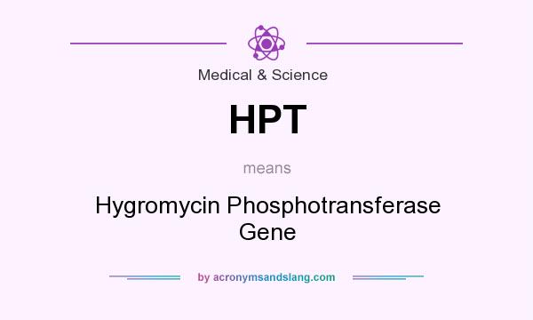 What does HPT mean? It stands for Hygromycin Phosphotransferase Gene