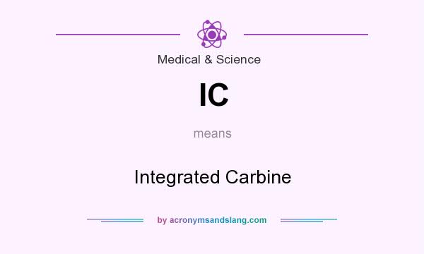 What does IC mean? It stands for Integrated Carbine