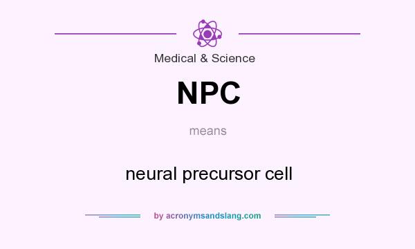 What does NPC mean? It stands for neural precursor cell