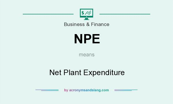 What does NPE mean? It stands for Net Plant Expenditure