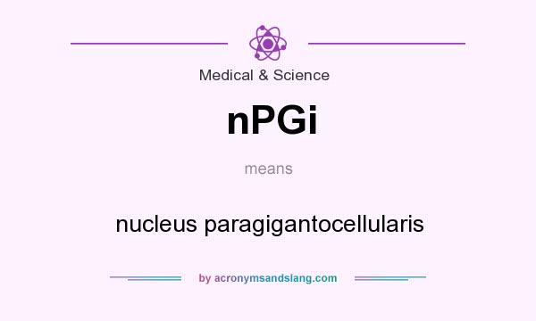 What does nPGi mean? It stands for nucleus paragigantocellularis