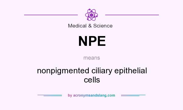 What does NPE mean? It stands for nonpigmented ciliary epithelial cells