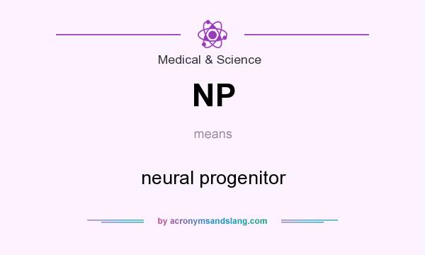 What does NP mean? It stands for neural progenitor