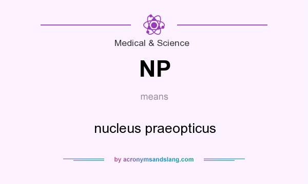 What does NP mean? It stands for nucleus praeopticus
