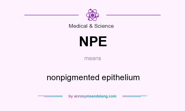 What does NPE mean? It stands for nonpigmented epithelium