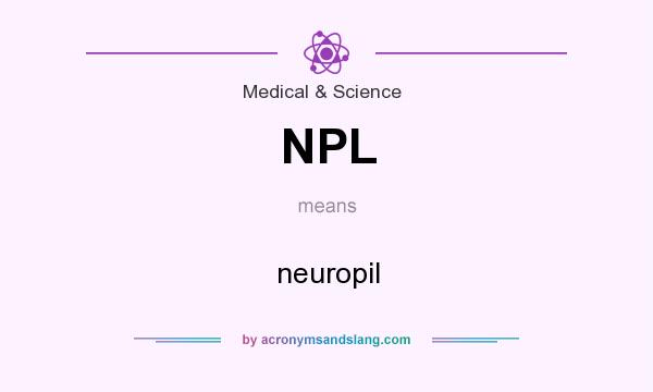 What does NPL mean? It stands for neuropil