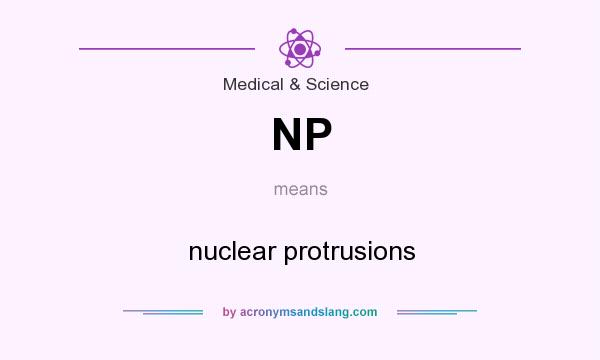What does NP mean? It stands for nuclear protrusions