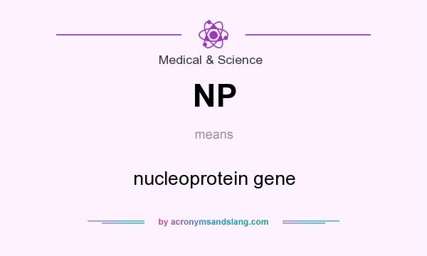 What does NP mean? It stands for nucleoprotein gene
