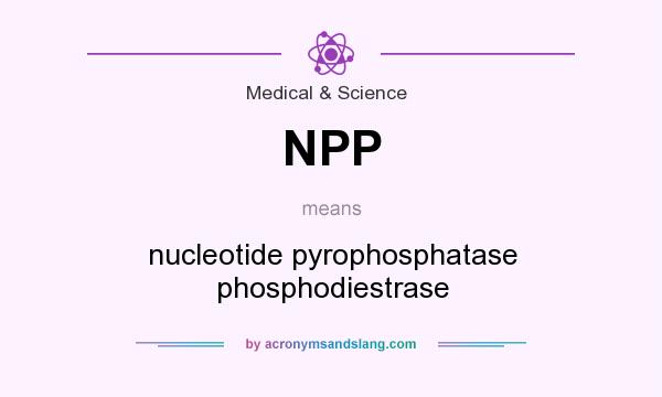 What does NPP mean? It stands for nucleotide pyrophosphatase phosphodiestrase