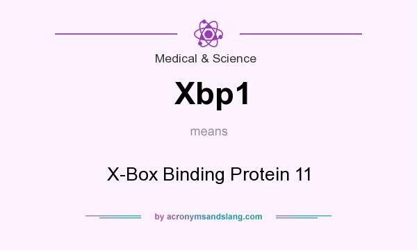 What does Xbp1 mean? It stands for X-Box Binding Protein 11