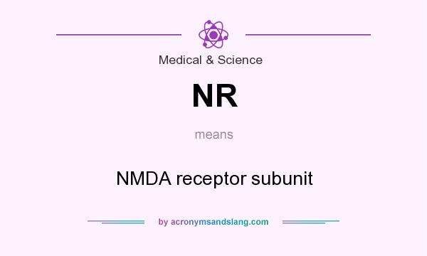 What does NR mean? It stands for NMDA receptor subunit