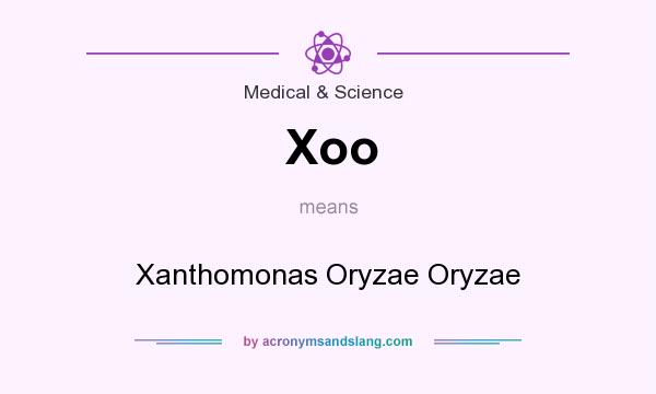 What does Xoo mean? It stands for Xanthomonas Oryzae Oryzae