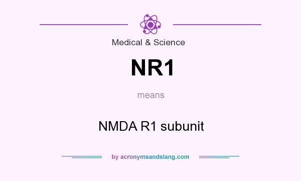 What does NR1 mean? It stands for NMDA R1 subunit