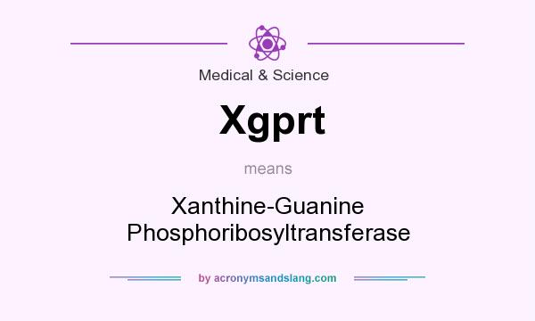 What does Xgprt mean? It stands for Xanthine-Guanine Phosphoribosyltransferase