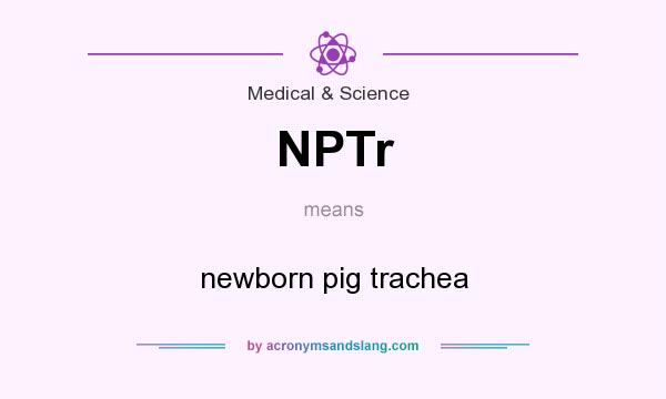 What does NPTr mean? It stands for newborn pig trachea