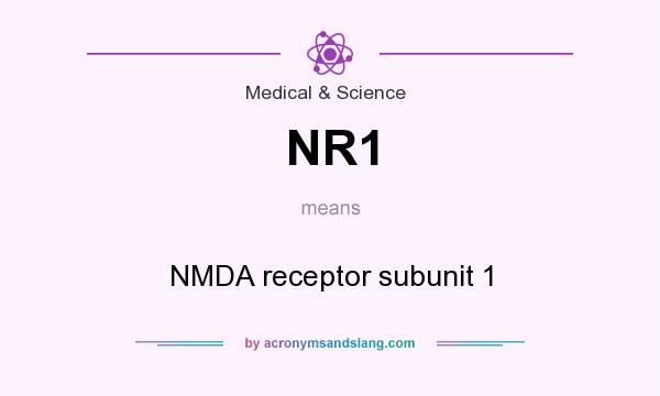 What does NR1 mean? It stands for NMDA receptor subunit 1