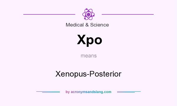 What does Xpo mean? It stands for Xenopus-Posterior