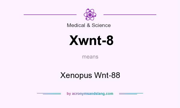 What does Xwnt-8 mean? It stands for Xenopus Wnt-88