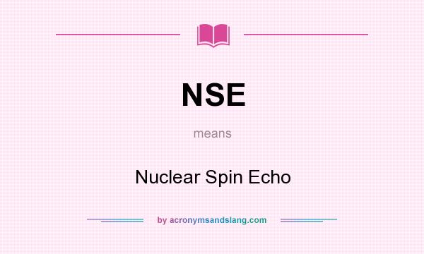 What does NSE mean? It stands for Nuclear Spin Echo
