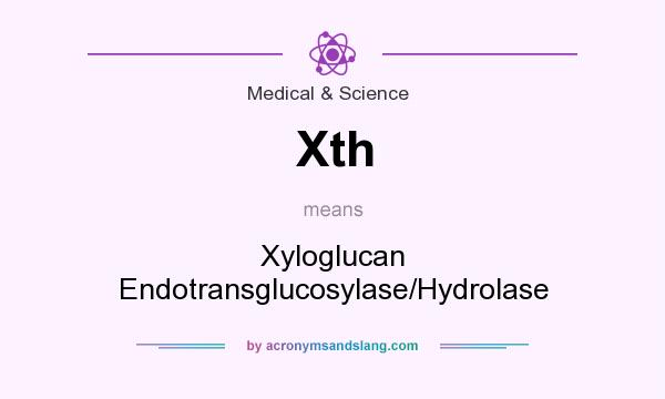 What does Xth mean? It stands for Xyloglucan Endotransglucosylase/Hydrolase