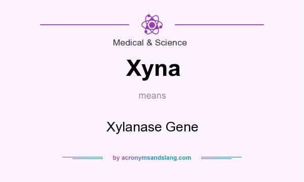 What does Xyna mean? It stands for Xylanase Gene
