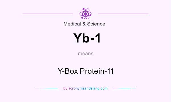 What does Yb-1 mean? It stands for Y-Box Protein-11