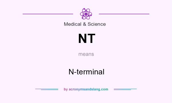 What does NT mean? It stands for N-terminal
