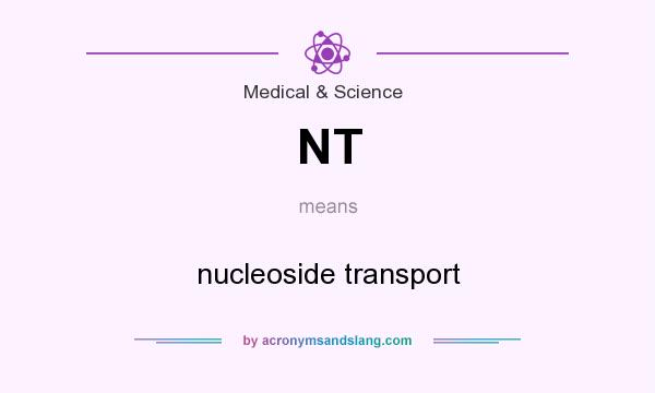 What does NT mean? It stands for nucleoside transport