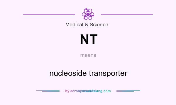 What does NT mean? It stands for nucleoside transporter