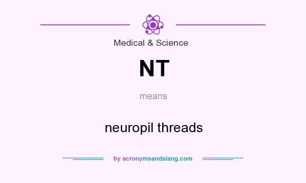 What does NT mean? It stands for neuropil threads