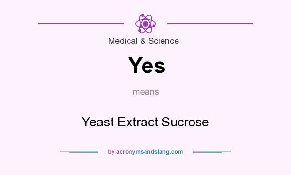 What does Yes mean? It stands for Yeast Extract Sucrose