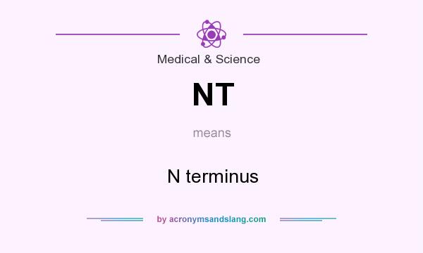 What does NT mean? It stands for N terminus
