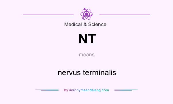 What does NT mean? It stands for nervus terminalis