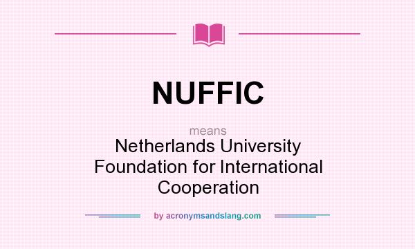 What does NUFFIC mean? It stands for Netherlands University Foundation for International Cooperation
