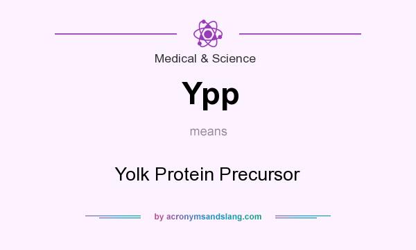 What does Ypp mean? It stands for Yolk Protein Precursor